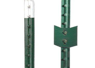 8 &quot;Tinggi Green Tee Studded Fence Post T Type