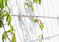 3m Tinggi 7 × 7 Wire Rope Mesh Climbing Plants Sistem Kabel Fasad Hijau Berlian