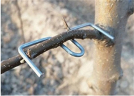 Alat Penekan Cabang Pohon Galvanis Panjang 13CM Penggunaan Pohon Furit