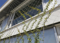 100 * 100mm Wire Rope Mesh Green Plant Climbing Ss304