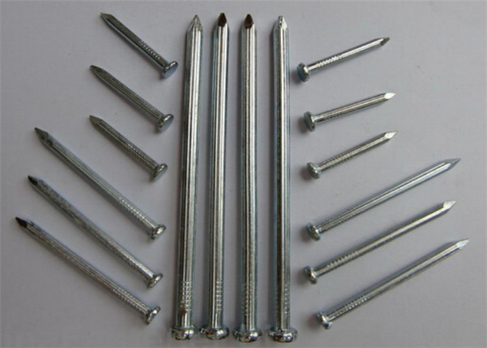 Paku Kawat Logam Anti Korosi Q195 Steel Paku Besi Biasa Digunakan Untuk Perabotan